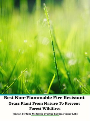 cover image of Best Non-Flammable Fire Resistant Grass Plant From Nature to Prevent Forest Wildfires